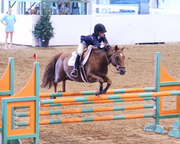 Peyton_Pony_jumpers3.jpg